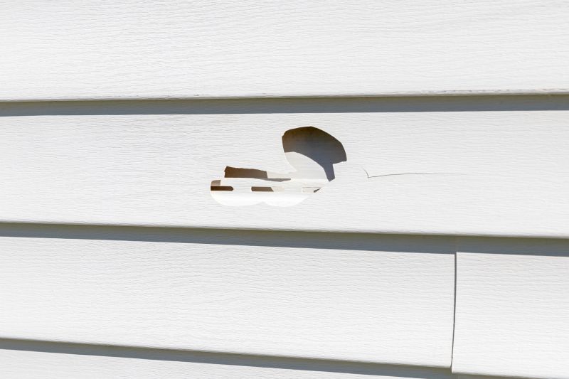 Damaged Siding