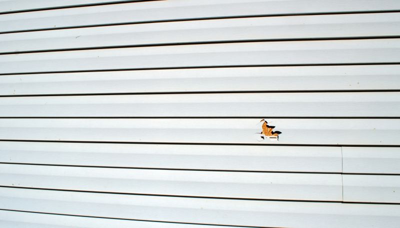 Spring Siding Repair